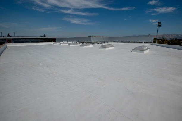 Best Sheet Metal Roofing  in Mulberry, NC